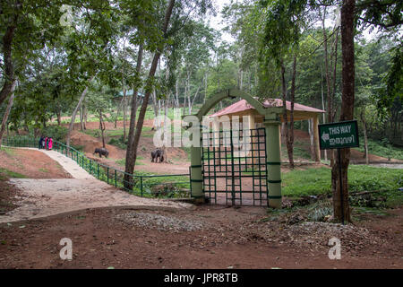 I turisti a piedi in entrata di kottoor kappukadu elefante centro di riabilitazione,kottoor,thiruvananthapuram,kerala,l'INDIA,PRADEEP SUBRAMANIAN Foto Stock