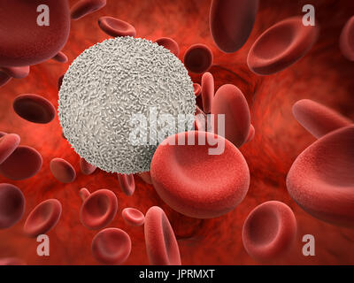 3D rendering di cellule bianche del sangue con globuli rossi Foto Stock