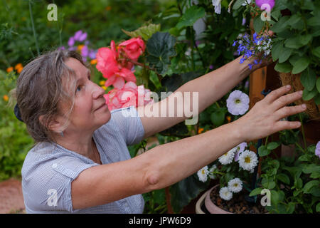 Sorridente maturehappy caucaisan donna giardinaggio Foto Stock