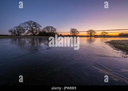 Mogshade Hill nel New Forest. Foto Stock