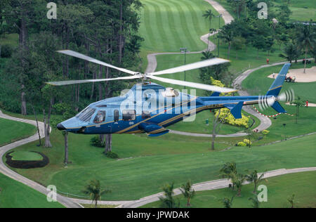 Bell 430 battenti lungo il tragitto su un campo da golf con palme e prato verde Foto Stock