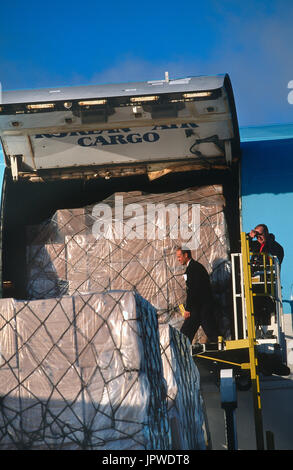 Carico che viene caricato da uomini su un basso-caricatore su un Korean Air Lines Boeing 747-200F Foto Stock