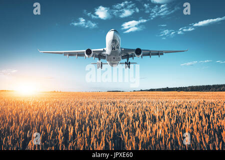 Incredibile aereo. Paesaggio con grande bianco aereo passeggeri vola nel cielo blu su campo di grano al tramonto colorato in estate. Airpl passeggero Foto Stock