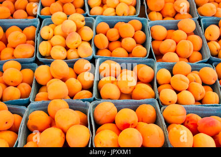 Fresche e mature verdure organiche presso il locale mercato agricolo in Penticton, British Columbia, Canada. Foto Stock