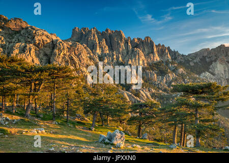 Aiguilles de Bavella, view all'alba da Col de Bavella pass, Corse-du-Sud, Corsica, Francia Foto Stock