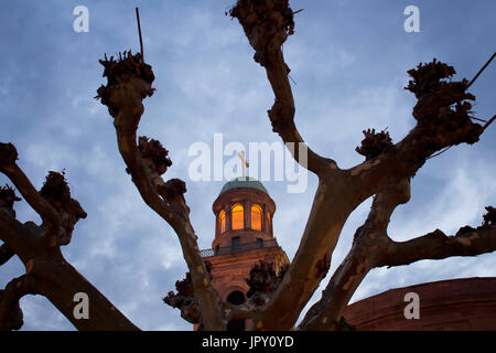 Vista della chiesa di San Paolo (Paulskirche) attraverso un albero al tramonto a Francoforte. Foto Stock