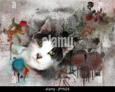 Ritratto del gatto Foto Stock