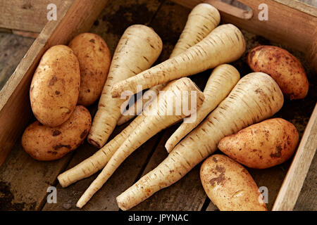 La vita ancora fresco, biologico sano, rustico, sporco pastinaca e le patate in una cassa di legno Foto Stock