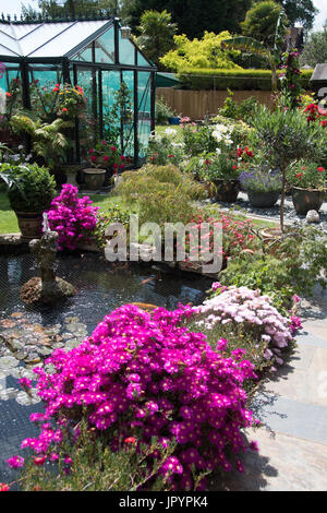 Potted Lampranthus attorno ad uno stagno e di un patio. Foto Stock