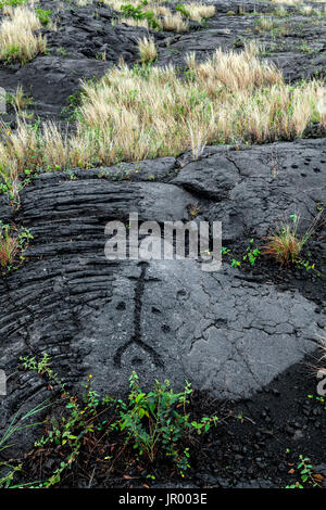 HI00258-00...Hawai'i - Pu'u Loa incisioni rupestri lungo la catena di crateri strada in Hawai'i vulcani del Parco Nazionale sull'isola di Hawai'i. Foto Stock