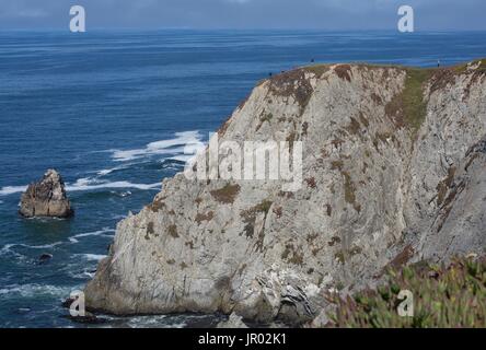 Persone escursionismo in alto su una scogliera a Bodega testa nella Bodega Bay, California, Stati Uniti d'America. Foto Stock