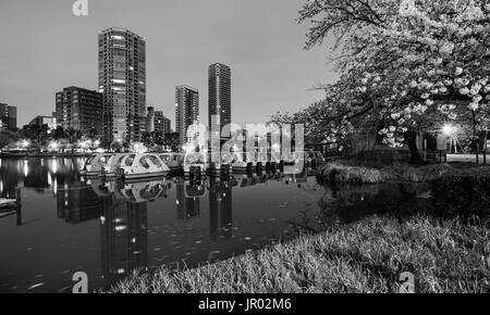 Bianco e nero scena notturna del lago e swan imbarcazioni presso il Parco Ueno a Tokyo in Giappone Foto Stock