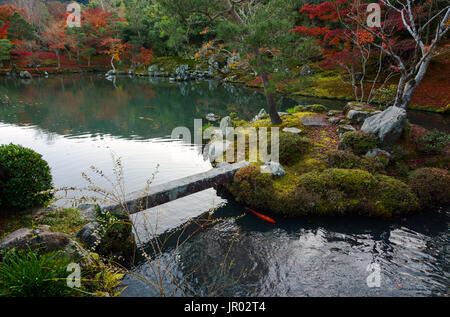 Piccola isola e ponte in un tranquillo laghetto in giardino in Giappone durante la caduta Foto Stock