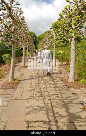 I turisti passeggiano lungo la calce Passeggiata nel Castello di Sissinghurst giardino, Kent, Inghilterra, Regno Unito. Foto Stock