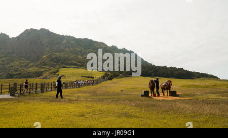 I campi di erba con i cavalli e i loro custode a Seongsan Sunrise Peak Foto Stock