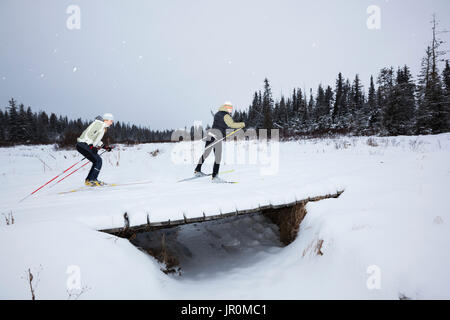 Lo sci di fondo attraverso un piccolo ponte in inverno; Omero, Alaska, Stati Uniti d'America Foto Stock