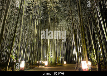Lanterna luci su un percorso in un boschetto di bambù durante Arashiyama Hanatouro festival in Giappone Foto Stock
