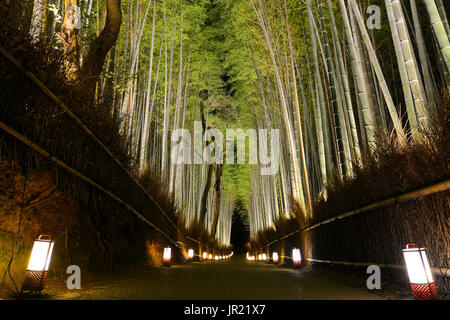 Romantico sentiero attraverso la foresta di bamboo illuminato da lampioncini durante Arashiyama Hanatouro festival in Kyoto Foto Stock