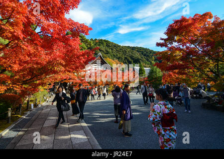 KYOTO, Giappone - 16 novembre 2016 - i visitatori e i turisti stranieri che godono i colori vivaci di caduta a Eikan-do Zenrin-ji il tempio di Kyoto, Giappone Foto Stock