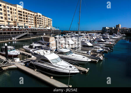 La linea di imbarcazioni ormeggiate presso la baia di Holdfast Marina in Glenelg. Foto Stock