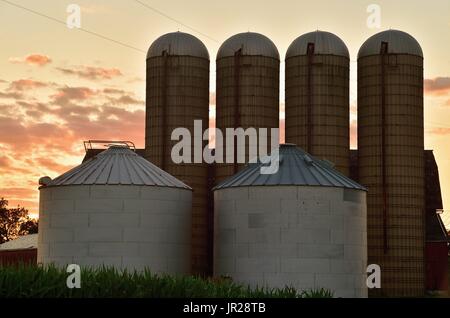 Burlington, Illinois, Stati Uniti d'America. Silos di stoccaggio stagliano dal sole al tramonto su una farm. Foto Stock