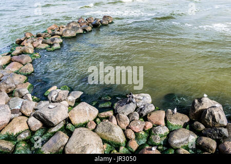 Palanga Foto Stock