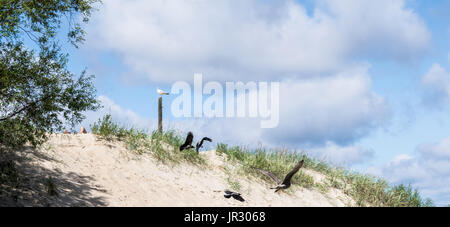 Palanga Foto Stock