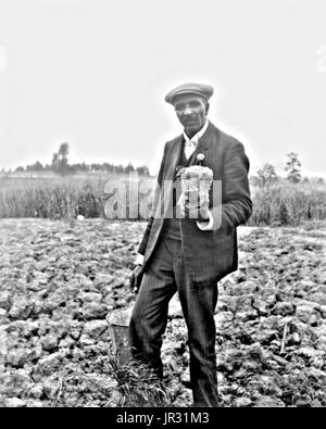 Carver, stando in piedi in campo, probabilmente a Tuskegee, tenendo pezzo di terreno. George Washington Carver (1864 - Gennaio 5, 1943) era un afro-americano di scienziato, botanico, educatore e inventore nato in schiavitù. Nel 1891 ha frequentato e studiato botanica alla Iowa State Agricultural College dove egli fu il primo studente nero e in seguito ha insegnato come il primo nero membro della facoltà. La sua reputazione si basa sulla sua ricerca e promozione di colture alternative per il cotone, come arachidi, semi di soia e patate dolci, che ha anche aiutato la nutrizione per le famiglie contadine. Egli ha voluto che gli agricoltori poveri di crescere alternativa c Foto Stock