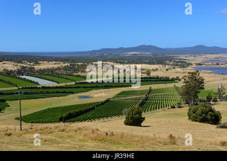 Vigneti attorno alla città di Apslawn su Tasmania autostrada sulla costa Est della Tasmania, Australia Foto Stock
