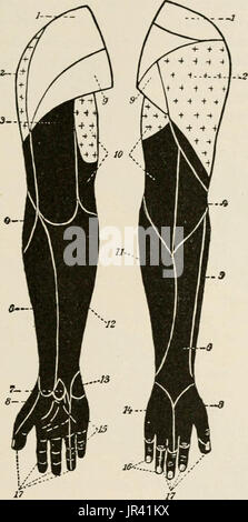 "Locale e anestesia regionale; con capitoli su spinale, epidurale, paravertebral e parasacral analgesia e altre applicazioni locali e regionali di anestesia per la chirurgia dell'occhio, orecchio, naso e gola, e alla pratica dentistica' Foto Stock