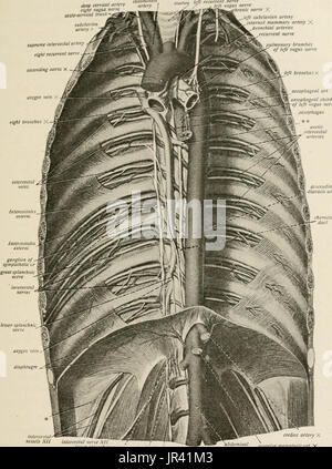 "Locale e anestesia regionale; con capitoli su spinale, epidurale, paravertebral e parasacral analgesia e altre applicazioni locali e regionali di anestesia per la chirurgia dell'occhio, orecchio, naso e gola, e alla pratica dentistica' Foto Stock