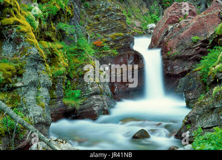 Una piccola cascata su baring creek nel Glacier National Park Montana Foto Stock