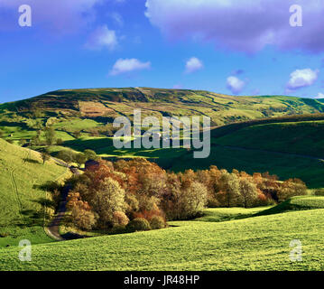 Un autunno vista del paesaggio swaledale nello Yorkshire, Inghilterra Foto Stock