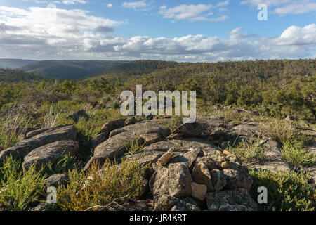 Santuario paruna Darling Range, Australia occidentale Foto Stock