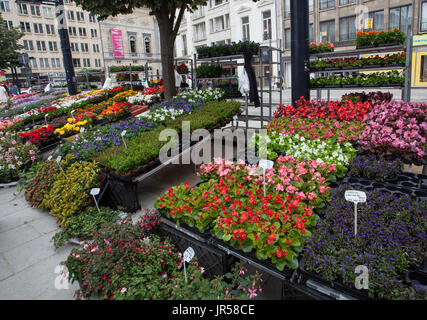 Ghent, Belgio - 26 Giugno 2011: mercato dei fiori Kouter di Gand Foto Stock