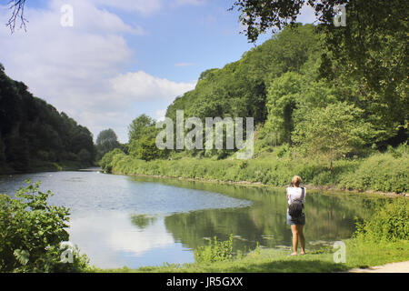 Creswell Crags, un limestone gorge a nido d'ape con le grotte di importanza archeologica sul confine del Derbyshire e Nottinghamshire, England, Regno Unito, Foto Stock