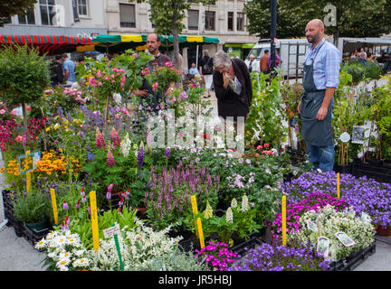 Ghent, Belgio - 26 Giugno 2011: mercato dei fiori Kouter di Gand Foto Stock