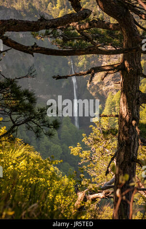 Vista sul th, Skakavac cascata nella foresta Perucica Foto Stock