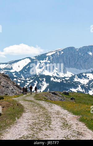 Quattro alpinisti sul sentiero di montagna Foto Stock