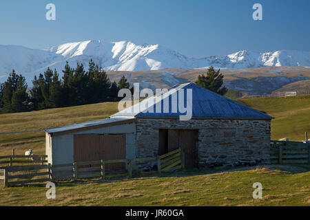 Antica fattoria in pietra edificio, Wedderburn, Maniototo di Central Otago, Isola del Sud, Nuova Zelanda Foto Stock