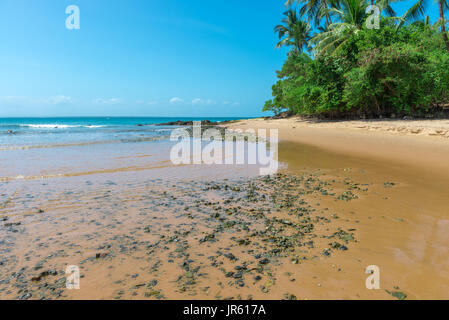 Piscine naturali nella Barra Grande spiaggia al Peninsula de Marau, Sud Bahia in Brasile Foto Stock