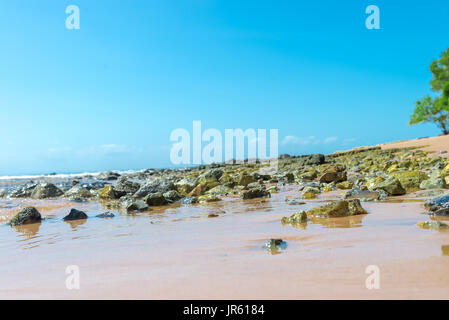 Spiaggia di texture di superficie sabbiosa con ondulazioni formate dal vento Foto Stock