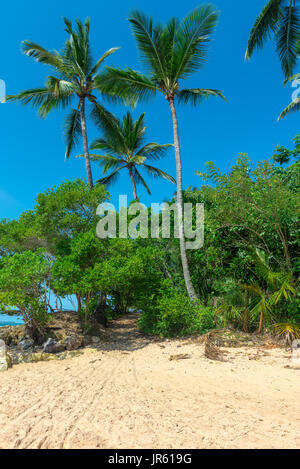 Spettacolare e suggestiva spiaggia paradiso in Itacare Bahia Brasile nord-est Foto Stock