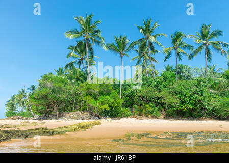 Spettacolare e suggestiva spiaggia paradiso a Marau Bahia Brasile nord-est Foto Stock