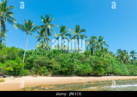 Spettacolare e suggestiva spiaggia paradiso a Marau Bahia Brasile nord-est Foto Stock