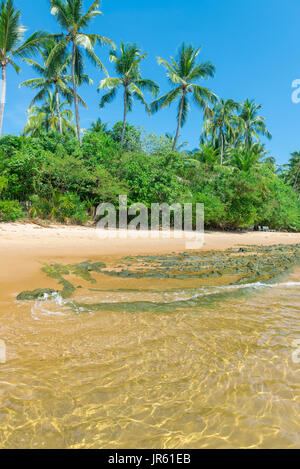 Spettacolare e suggestiva spiaggia paradiso a Marau Bahia Brasile nord-est Foto Stock