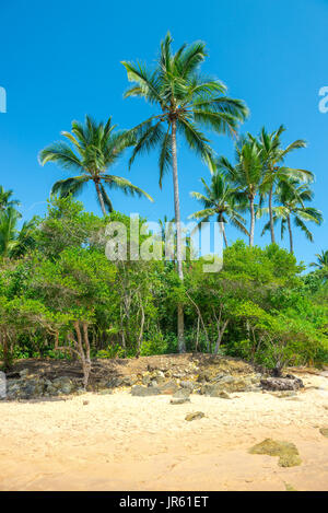 Spettacolare e suggestiva spiaggia paradiso in Itacare Bahia Brasile nord-est Foto Stock