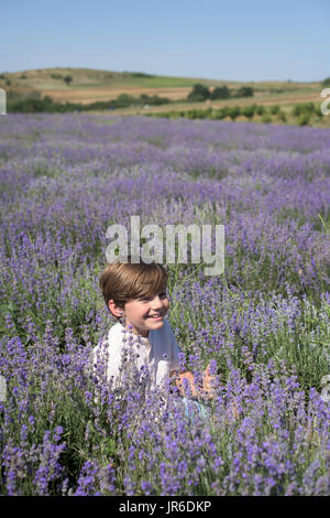 Sorridente ragazzo seduto in un campo di lavanda fiori profumati Foto Stock