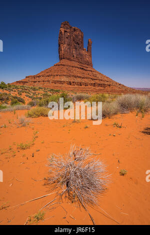 West Mitten Butte, Monument Valley, Arizona, America, STATI UNITI D'AMERICA Foto Stock