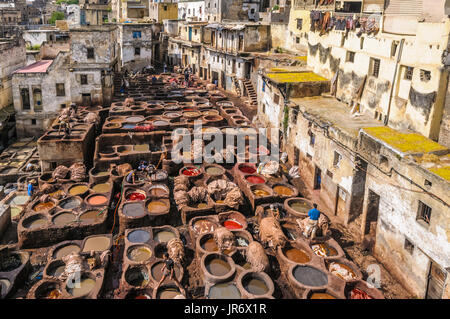 La conceria di Fez, Marocco Foto Stock